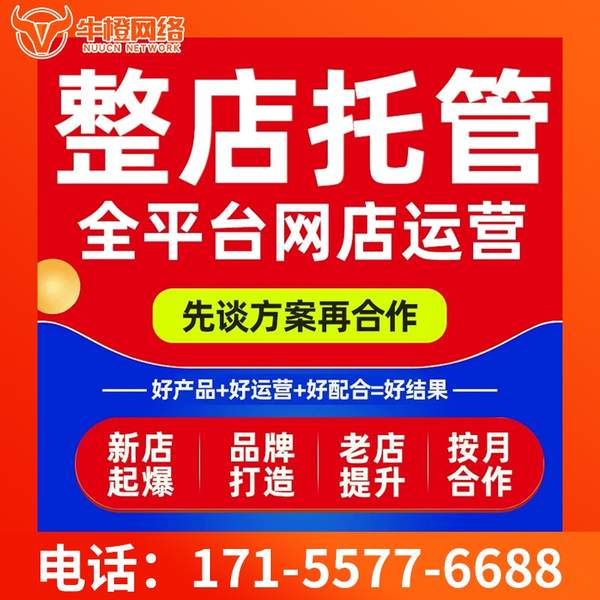 深圳电商代运营