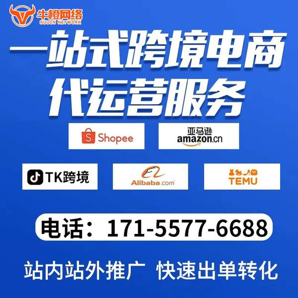 深圳电商代运营
